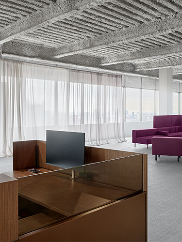 Dividends Skyline System