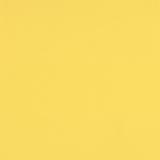Canary Yellow