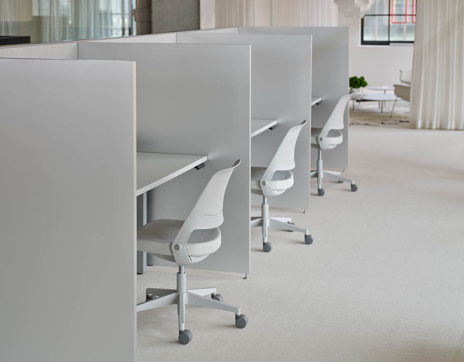 Ollo with Shell Back Dividends Skyline